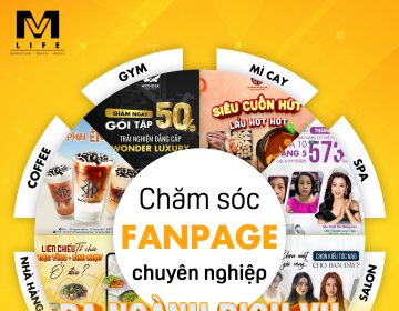 Tối Ưu Hóa FanPage: Đòn Bẩy Giúp Thương Hiệu Vương Xa Cùng MV LIFE